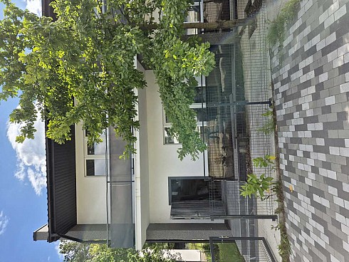 image01.jpg