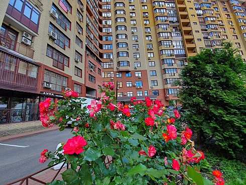 image01.jpg