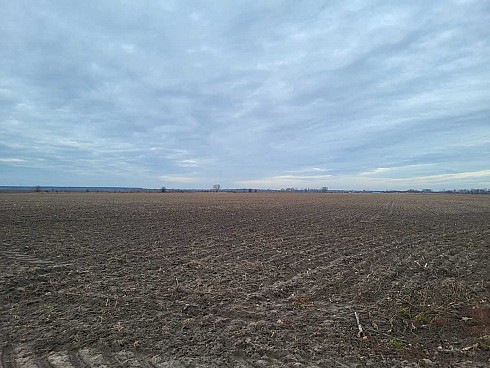 image01.jpg