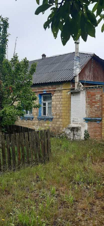 image01.jpg