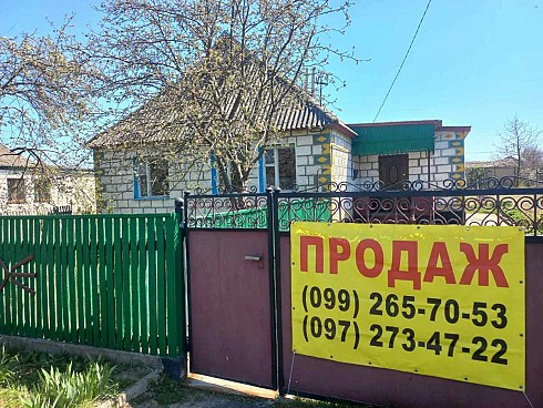 image01.jpg