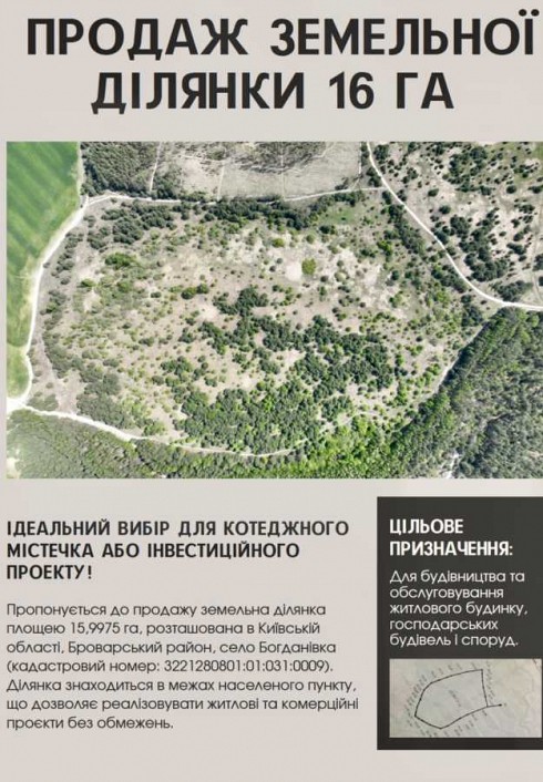 image01.jpg