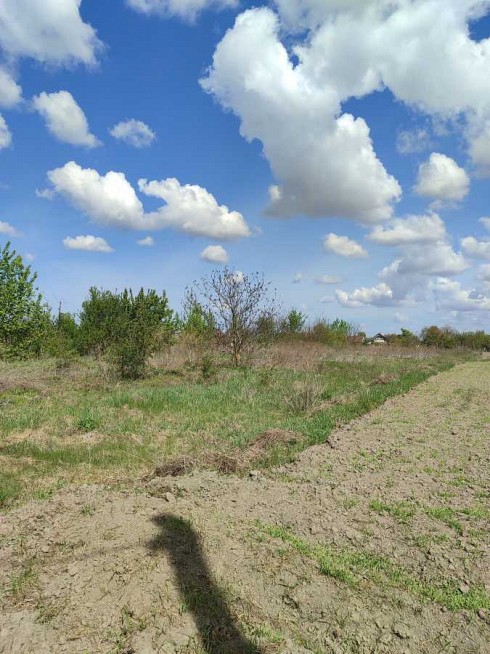image01.jpg