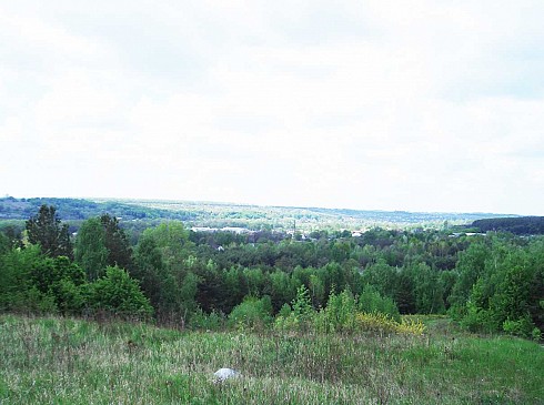 image01.jpg