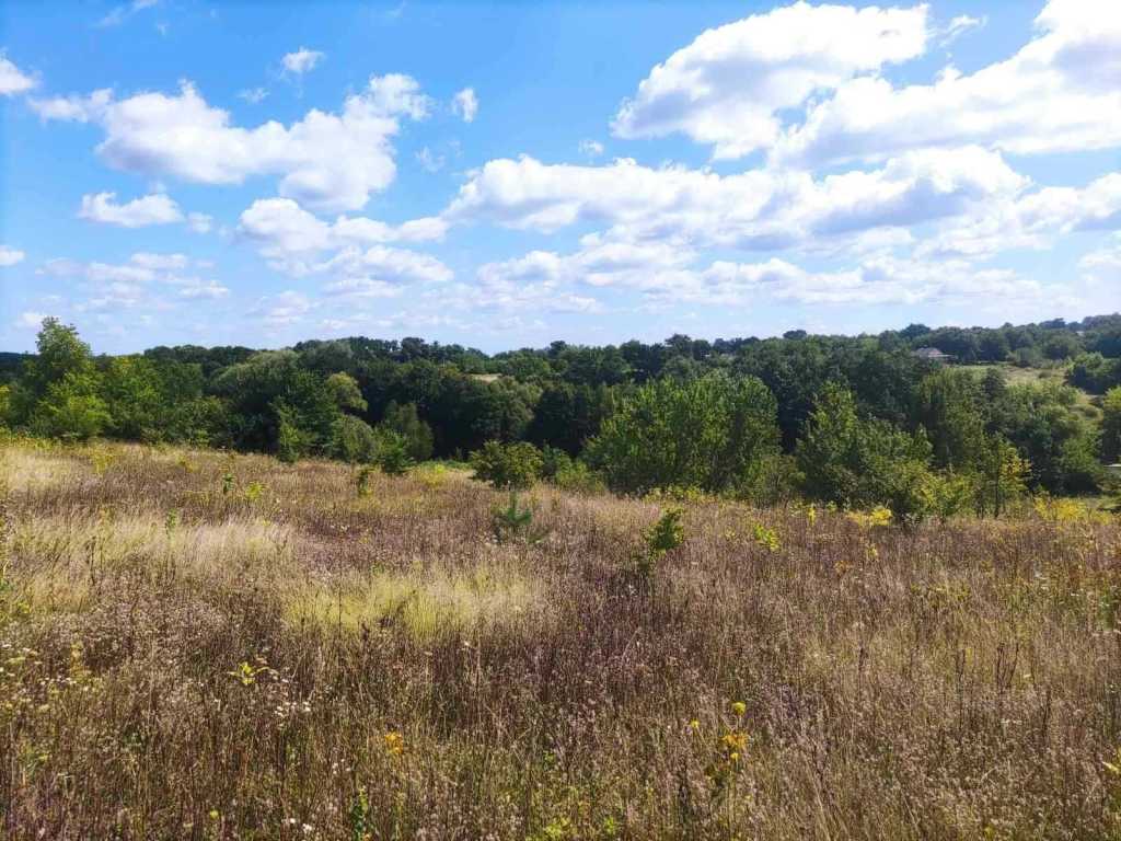 ������ ������, �������� ���., ������������, ��������, ���������