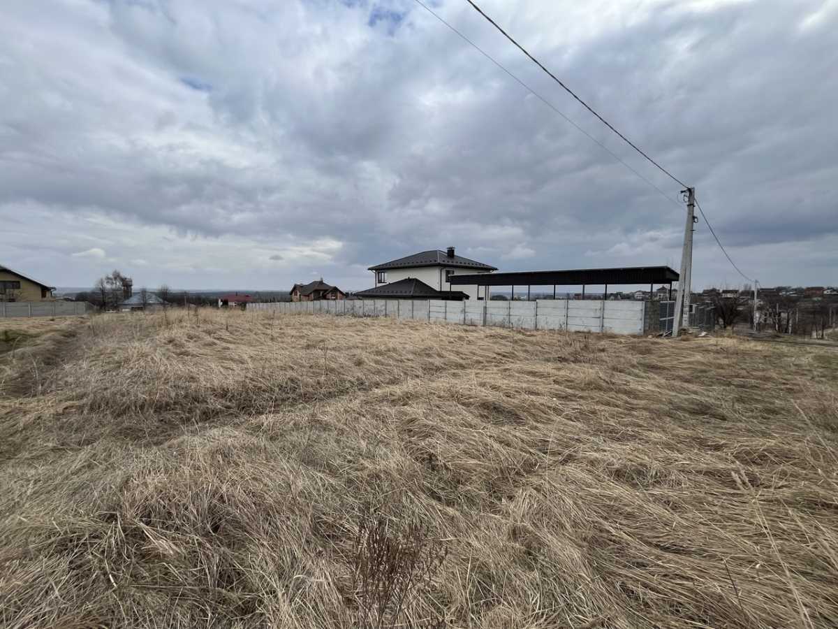 ������ ������, �������� ���., �����-������������, ��������, ���������