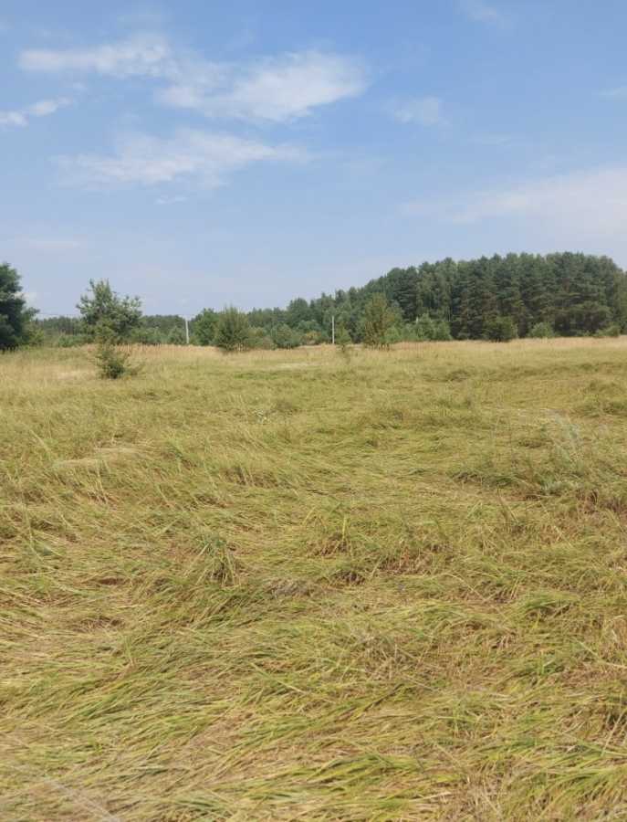 ������ ������, �������� ���., ������������, �����������, �������