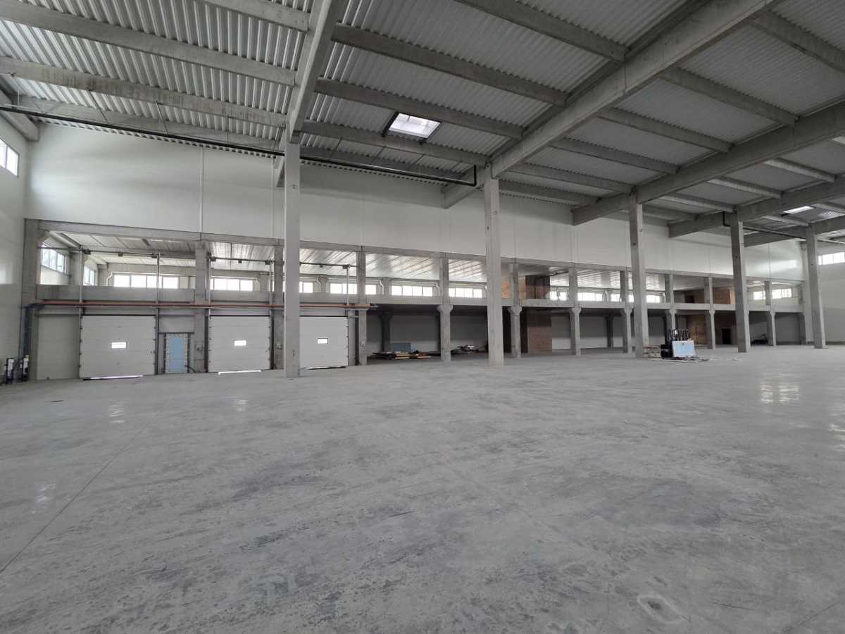 ���� �����, �������� ���., ����, ���������� �-�, �������������������� ��.