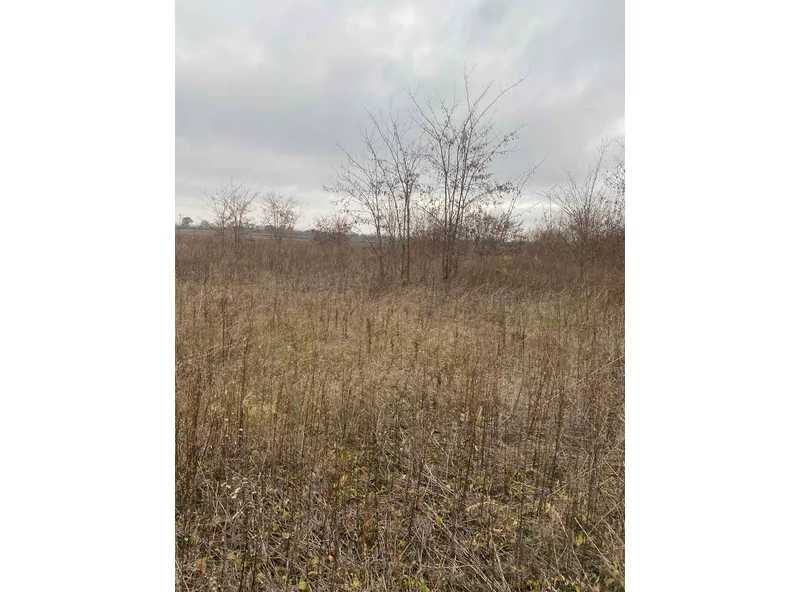 ������ ������, �������������� ���., ������������, ���������� �-�, ���. ����������, 26