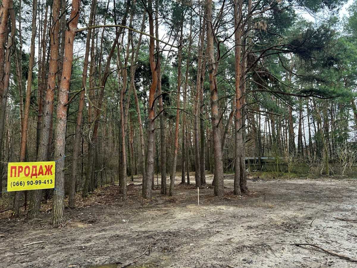 ������ ������, �������� ���., �������������, ��������, ��������������� 8