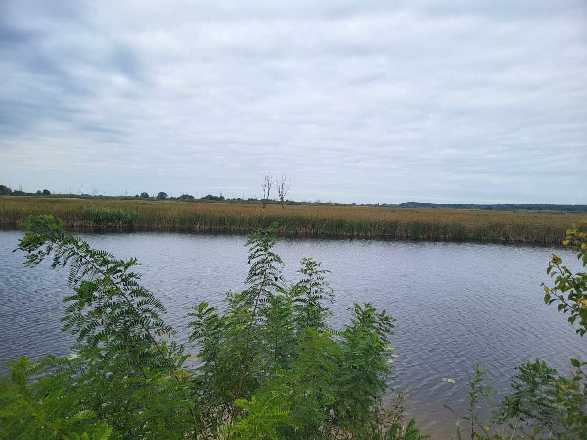 ������ �������� ������, �������� ���., �������������, ���������, �/�