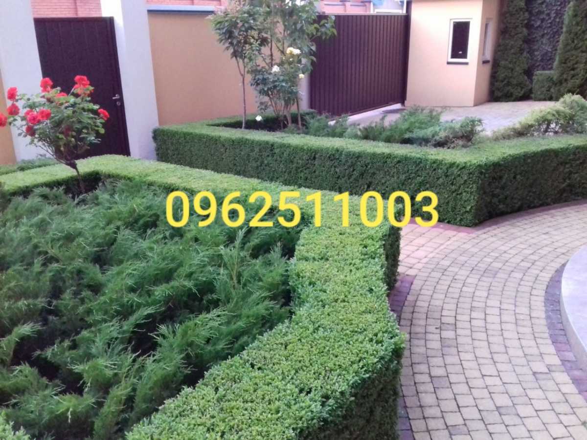  ,  ., ,  -,  .