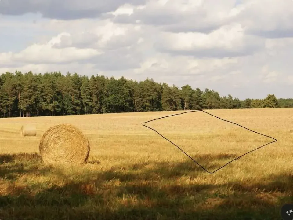 Продам земельна ділянка, Киевская обл., Макаровский, Рожев, Лісова